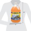 imageRainX All Season 2In1 Windshield Washer 25F  1 Gallon Pack of 61 Pack