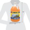 imageRainX All Season 2In1 Windshield Washer 25F  1 Gallon Pack of 66 Pack