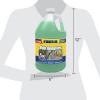 imageRainX RainX RX68806 Bug Remover WWF1 Count Pack of 1