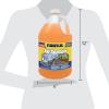 imageRainX All Season 0F 2in1 DeIcer ampamp Bug Remover Windshield Washer Fluid  1 Gallon Pack of 6128 Fl Oz Pack of 6