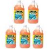 imageRainX Windshield Washer Fluid 0 Deg 1 Gal1537 Fl Oz Pack of 5
