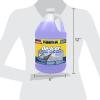 imageRainX 30F Extreme Temperature DeIcer Windshield Washer Fluid  1 Gallon Pack of 61 Pack